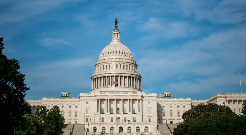 Here’s What We Know About the Federal Budget for FY 2023 | BidNet Direct