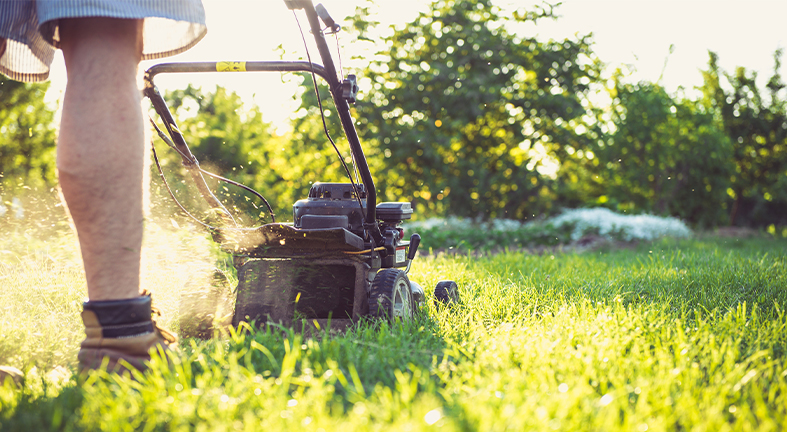 Bids lawn best sale mower repair