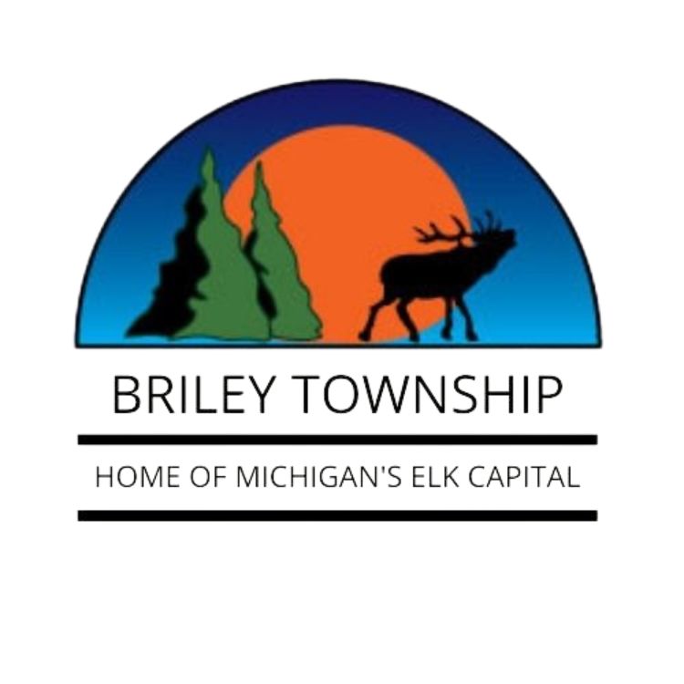 Organization logo of Briley Township