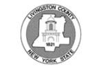 Organization logo of Livingston County